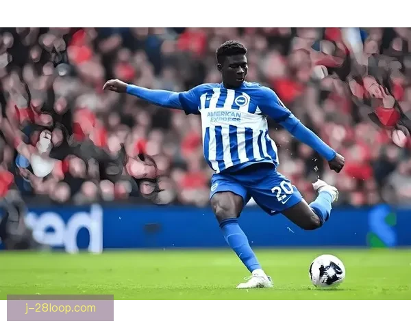 2025夏季转会窗口利物浦成功引进葡萄牙足球新秀